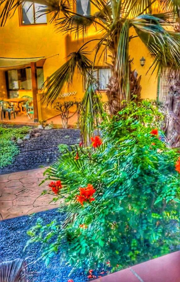 Paradise House Corralejo Extérieur photo